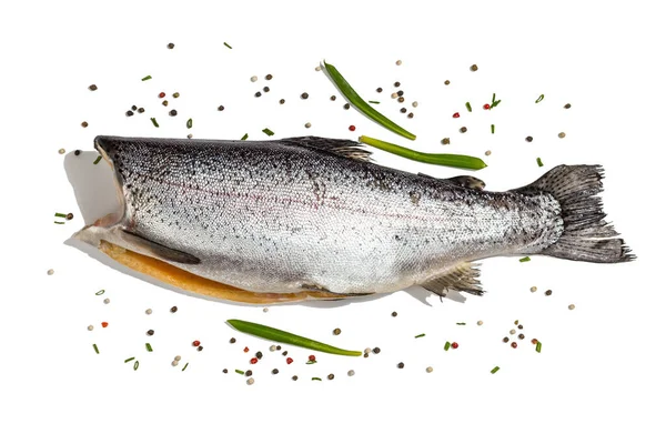 Тело Форели Изолировано Белом Фоне Морская Рыба Специи Здоровая Пища — стоковое фото