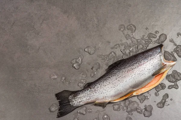 Gri beton arka planda buzlu çiğ alabalık leşi. Deniz balığı, sağlıklı yiyecek, modaya uygun sert ışık, karanlık gölge, üst manzara.