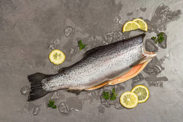 Çiğ alabalık leşi, buzlu, limonlu ve maydanozlu gri beton arka planda. Deniz balığı, sağlıklı yiyecek, modaya uygun sert ışık, karanlık gölge, üst manzara.