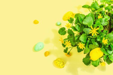 Paskalya bayramı kompozisyonu. Tencerede taze çiçekler, yumurtalar ve temalı dekor. Modern sert ışık, koyu gölge, parlak sarı arkaplan, üst manzara.