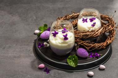 Mutlu Paskalya bayramı kompozisyonu. Taze menekşe çiçekli vegan panna cotta tatlısı. Çizgili renkli yiyecekler, modaya uygun stantlar. Sert bir ışık, karanlık bir gölge, taş beton zemin, kopyalama alanı