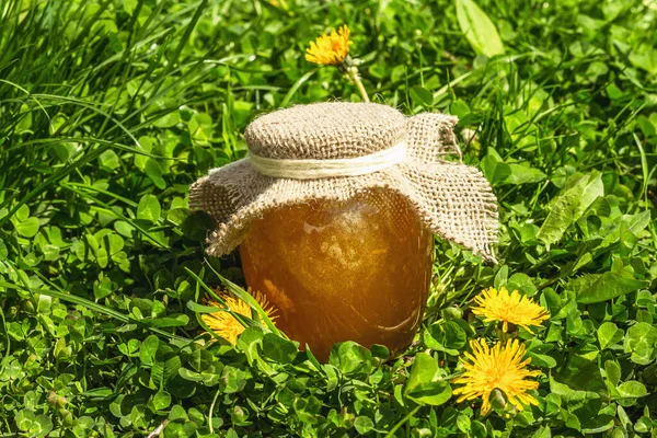 Dandelion Jam Honey Glass Jar Green Grass Bright Blooming Flowers — Stockfoto