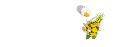 Karahindiba çiçeği buketi beyaz arka planda izole bir şekilde duruyor. İlkbahar konsepti, desenli festival kartı için çiçek unsuru, sert ışık, koyu gölge, üst manzara, afiş biçimi