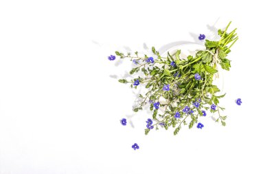 Mavi beni unutun, beyaz arka planda izole bir çiçek buketi değil. İlkbahar konsepti, çiçek desenli festival kartı, sert ışık, koyu gölge, üst manzara.