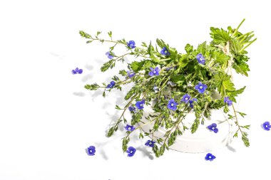 Mavi beni unutun, beyaz arka planda izole bir çiçek buketi değil. İlkbahar konsepti, çiçek desenli festival kartı, koyu ışık, koyu gölge, seçici odak