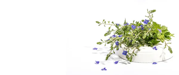 Azul Esquece Não Buquê Flores Posto Moda Isolado Fundo Branco — Fotografia de Stock