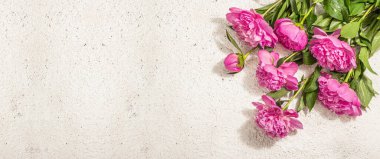 Güzel kokulu pembe şakayık buketi. Yaz sıva arka planı, mevsimlik tasarım, bayram kartı konsepti, sert ışık, koyu gölge, afiş biçimi