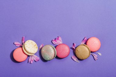 Şakayık çiçekli makarnalar çok peri rengi arka planda. Tatlı tatlı, renkli ve pastel renkli şeker renkleri, yaz konsepti. Romantik tarz, şenlik kartı, düz yatak, üst görünüm