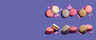 Şakayık çiçekli makarnalar çok peri rengi arka planda. Tatlı tatlı, renkli ve pastel renkli şeker renkleri, yaz konsepti. Romantik tarz, şenlik kartı, düz yatak, afiş biçimi
