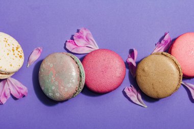 Şakayık çiçekli makarnalar çok peri rengi arka planda. Tatlı tatlı, renkli ve pastel renkli şeker renkleri, yaz konsepti. Romantik tarz, şenlik kartı, düz yatak, üst görünüm