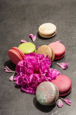 Taş bir arka planda şakayık çiçekli makarna. Tatlı, renkli ve pastel renkler. Romantik tarz, şenlik kartı, düz yatış, sert ışık, karanlık gölge, yakın çekim.