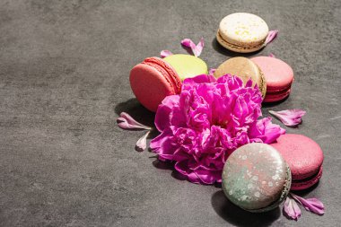 Taş bir arka planda şakayık çiçekli makarna. Tatlı, renkli ve pastel renkler. Romantik tarz, şenlik kartı, düz yatış, sert ışık, karanlık gölge, kopyalama alanı