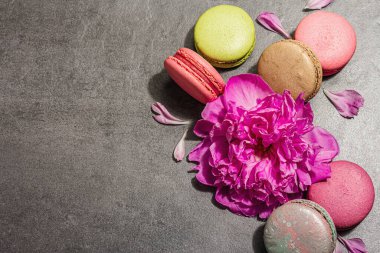 Taş bir arka planda şakayık çiçekli makarna. Tatlı, renkli ve pastel renkler. Romantik tarz, şenlik kartı, düz yatış, sert ışık, koyu gölge, üst manzara