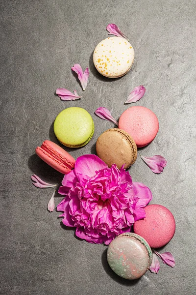 Macarons Com Flor Peônia Fundo Pedra Sobremesa Doce Cores Coloridas — Fotografia de Stock