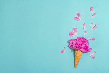 Mavi arka planda şakayıklı dondurma külahları. Çiçek yaprakları, yaz konsepti. Romantik tarz, şenlik kartı, sert ışık, koyu gölge, üst manzara