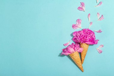 Mavi arka planda şakayıklı dondurma külahları. Çiçek yaprakları, yaz konsepti. Romantik tarz, şenlik kartı, sert ışık, koyu gölge, üst manzara