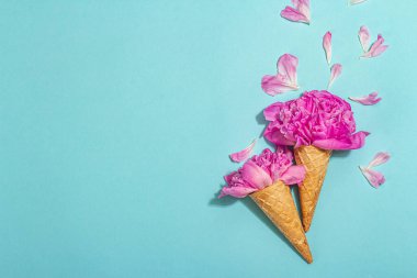Mavi arka planda şakayıklı dondurma külahları. Çiçek yaprakları, yaz konsepti. Romantik tarz, şenlik kartı, sert ışık, koyu gölge, üst manzara