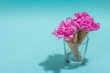 Mavi arka planda şakayıklı dondurma külahları. Çiçek yaprakları, yaz konsepti. Romantik tarz, şenlik kartı, sert ışık, karanlık gölge, kopyalama alanı