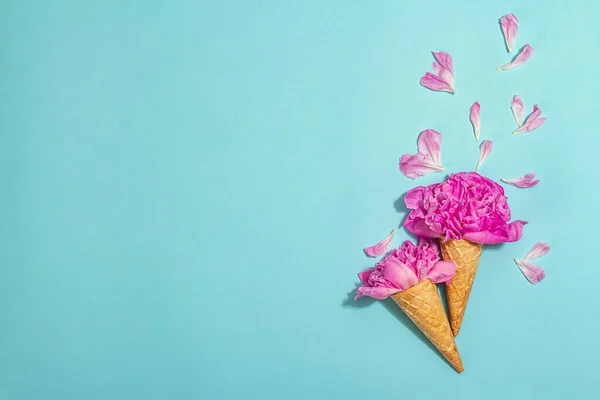 Eiswaffelzapfen Mit Pfingstrose Auf Blauem Hintergrund Blütenblätter Sommerkonzept Romantischer Stil — Stockfoto