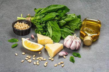 Traditional ingredients for the preparation of classic Italian basil pesto. Fresh leaves, olive oil, parmesan, garlic, and pine nuts. Vegan healthy food, grey stone concrete background, close up
