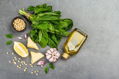 Klasik İtalyan fesleğen sosu hazırlamak için geleneksel malzemeler. Taze yapraklar, zeytinyağı, parmesan, sarımsak ve çam fıstığı. Vejetaryen sağlıklı yiyecekler, gri taş beton arka plan, üst manzara.