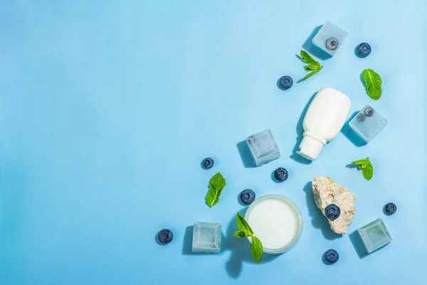 Natural Skincare Cream Lotion Organic Berries Blueberry Mint Ice Moisturizing — Foto de Stock