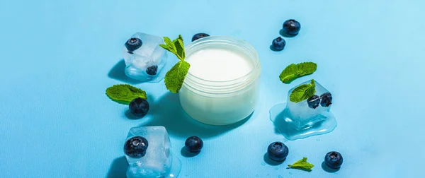 Natural Skincare Cream Lotion Organic Berries Blueberry Mint Ice Moisturizing — Stock Photo, Image