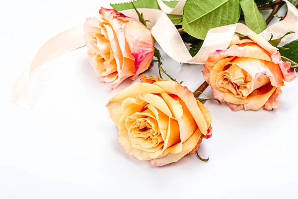 Білому Тлі Видніється Безліч Свіжих Делікатних Троянд Романтичні Подарунки Ніжні — стокове фото