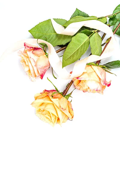 Ramo Delicadas Rosas Frescas Aisladas Sobre Fondo Blanco Concepto Regalo — Foto de Stock