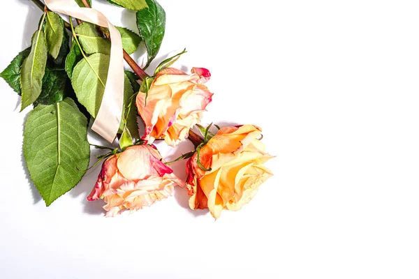 白い背景に孤立した新鮮な繊細なバラの花束 ロマンチックなギフトの概念は 穏やかな花 バレンタイン または女性の日 モックアップ テンプレート グリーティングカード フラットレイアウト トップビュー — ストック写真