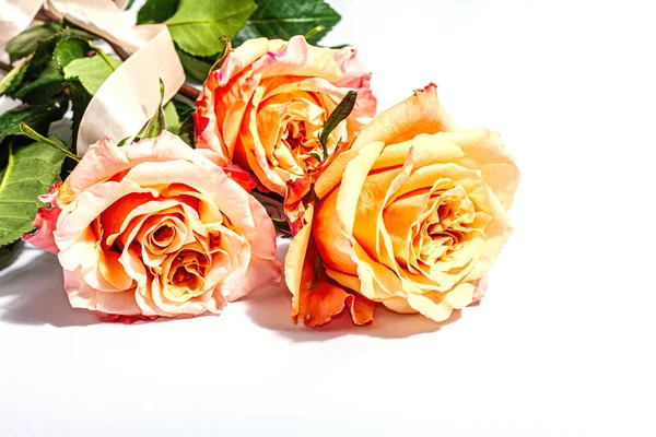 Білому Тлі Видніється Безліч Свіжих Делікатних Троянд Романтичні Подарунки Ніжні — стокове фото