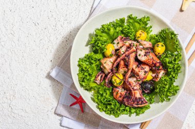 Marul, zeytin ve baharatlı ahtapot salatası. Taze ve sağlıklı deniz ürünleri, deniz dekoru. Modaya uygun sert ışık, koyu gölge, alçı arka plan, üst görünüm