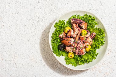 Marul, zeytin ve baharatlı ahtapot salatası. Taze ve sağlıklı deniz ürünleri, deniz dekoru. Modaya uygun sert ışık, koyu gölge, alçı arka plan, üst görünüm