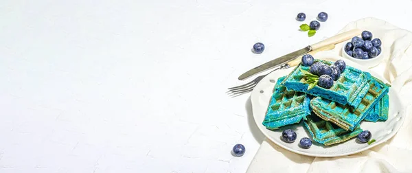 Гомемад Бельгія Вафелька Чорницею Безглютеновий Синій Десерт Свіжі Фрукти Ята — стокове фото