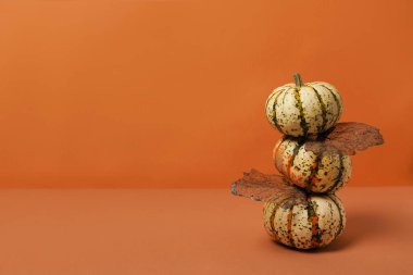 Cadılar Bayramı arkaplanı, balkabakları ve düşen siyah yapraklar. Cadılar Bayramı partisi davetiye kopyası. Üst görünüm, boşluk kopyala