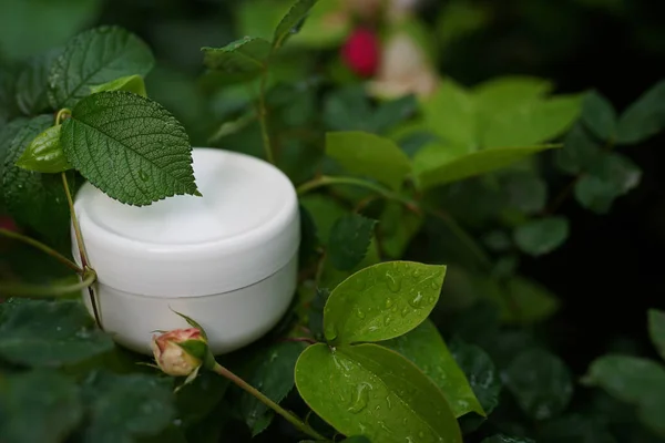 Natuurlijke Cosmetische Crème Voor Lichaamsverzorging Een Groene Achtergrond Bladeren Natuurlijke — Stockfoto