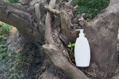 Cosmetic bottle for mockup packaging of skincare product cream, shampoo, conditioner on wood nature background with green leaves. Natural beauty product