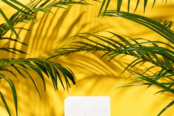 Minimalny Nowoczesny Wyświetlacz Produktu Żółtym Tle Świeżymi Liśćmi Palmy Cieniami — Zdjęcie stockowe