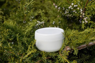 Doğal organik kozmetik vücut veya yeşil yaprakların üzerindeki yüz kremi 