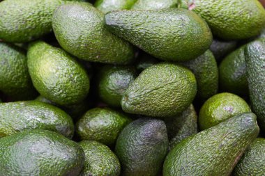 Yerel mağazada satılık bir çok avokado görüntüsü