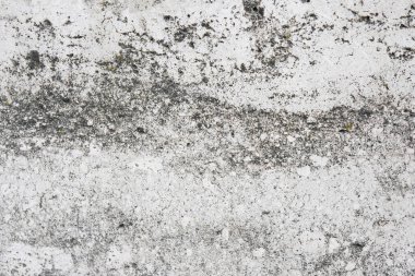 Gri beton duvar, kopyalama alanı olan grunge soyut arkaplan