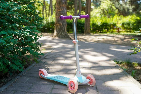 Blauw Roze Kind Kick Scooter Het Park Natuur Achtergrond — Stockfoto