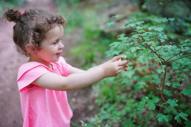 child holds a green leaf in her hands during walking in the forest. Protect nature concept. Kid