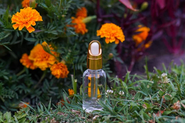 Dropper Glass Bottle Cosmetic Oil Serum Nature Flowers Background Copy — Photo