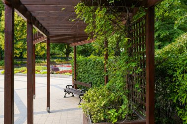 Public park with green plants over wooden fence and bench