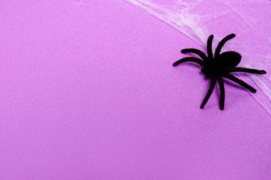 Örümcekli Cadılar Bayramı kartı, mor arka plan. Cadılar Bayramı pankartıName