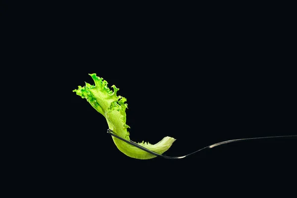 lettuce leaf on a fork on a dark background