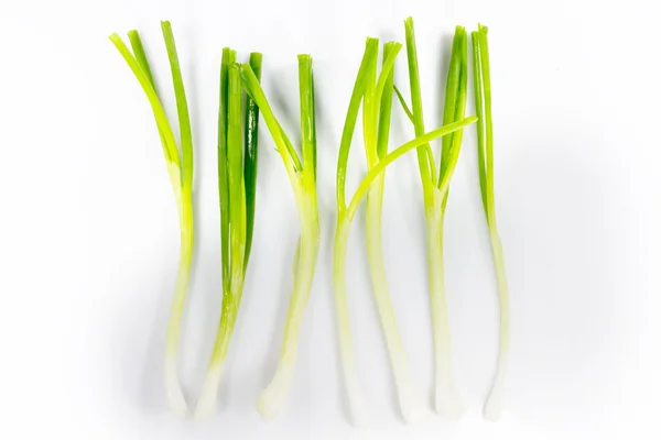 Чеболлиты зеленая кожура нарезает лук — стоковое фото