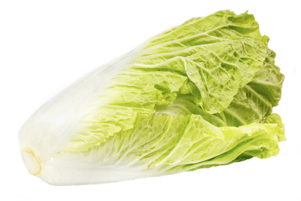 Lechuga Romana aislada sobre un fondo blanco Imagen De Stock