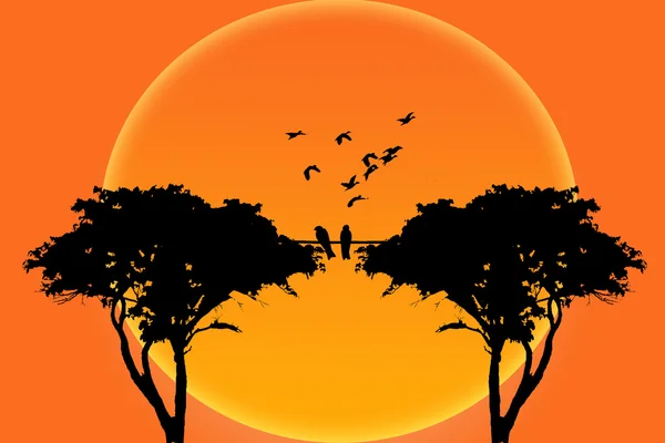 Silhouette birds on branch tree — Stock Photo, Image
